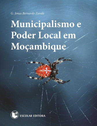  Municipalismo e Poder Local em MoÇambique 