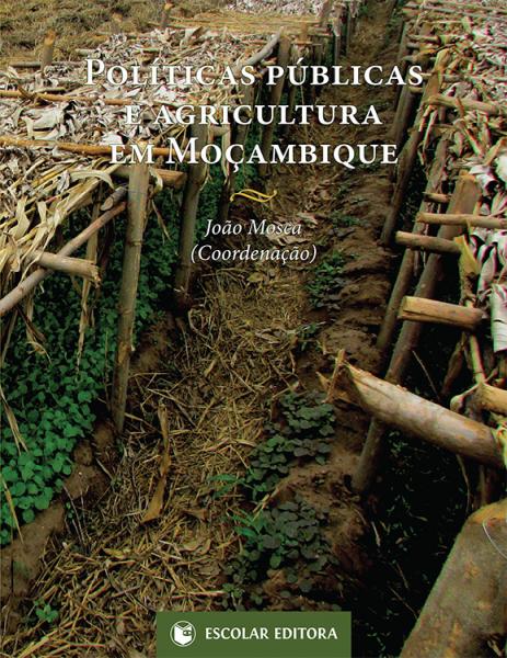  Pol¡ticas Públicas e Agricultura em MoÇambique 