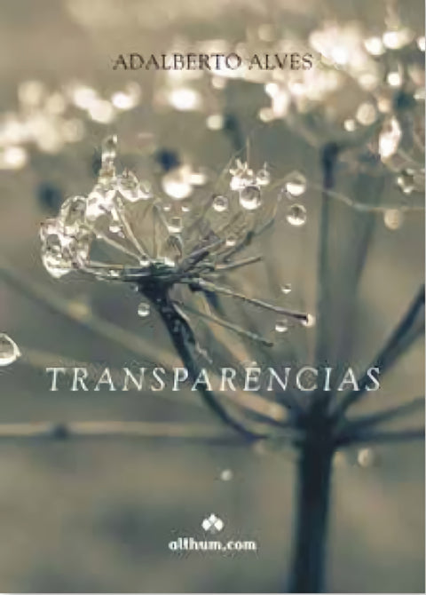  Transparências 