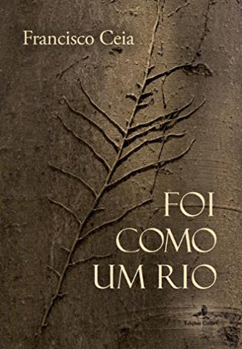  FOI COMO UM RIO 