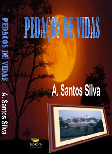  PEDAÇOS DE VIDAS 