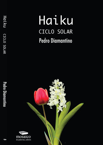  HAIKU: CICLO SOLAR 