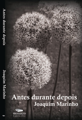  ANTES DURANTE DEPOIS 