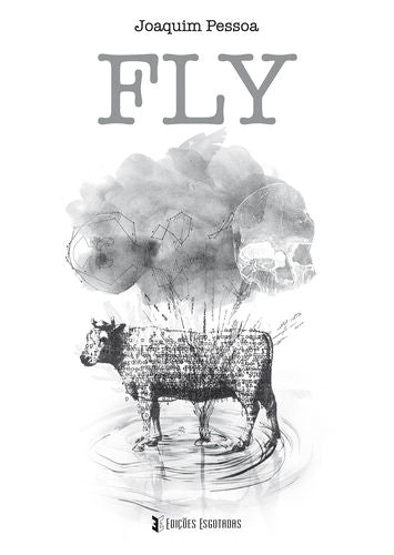  Fly 