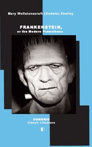  FRANKENSTEIN, OR THE MODERN PROMETHEUS 