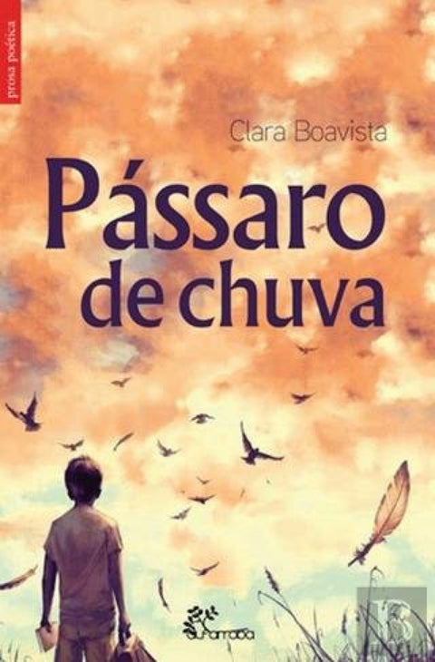  Pássaro de Chuva 