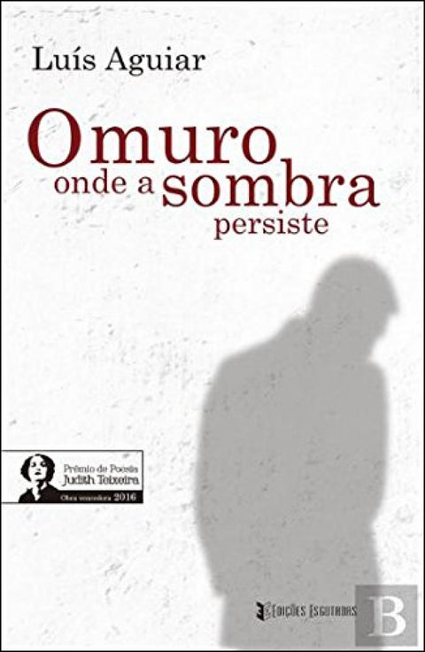  O MURO ONDE A SOMBRA PERSISTE 
