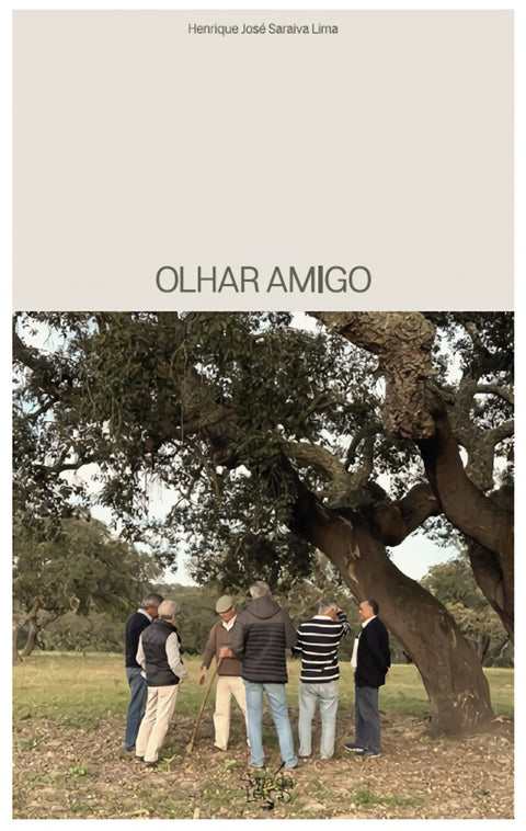  Olhar Amigo 