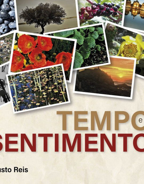  Tempo e sentimento 