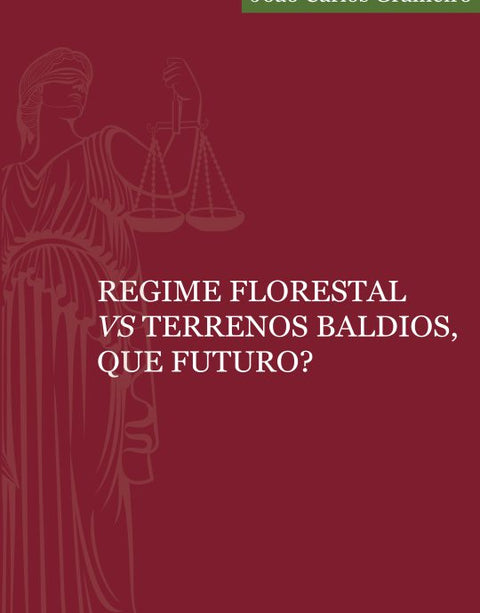  Regime florestal vs terrenos baldios, que futuro? 