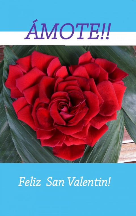  (Postal) ÁMOTE! FELIZ SAN VALENTÍN! (R-20160115) 