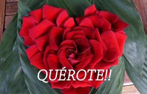  (Postal) QUÉROTE! 