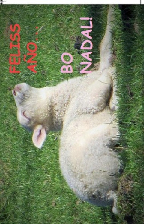  (Postal) Bo Nadal Felis año 