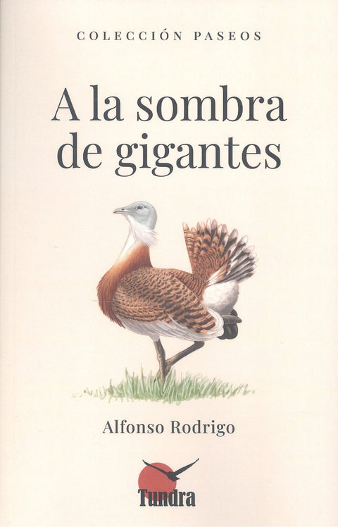  A LA SOMBRA DE GIGANTES 