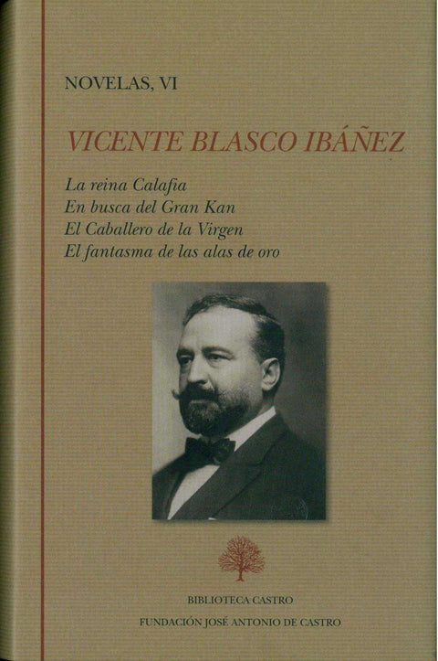  VI.Novelas 