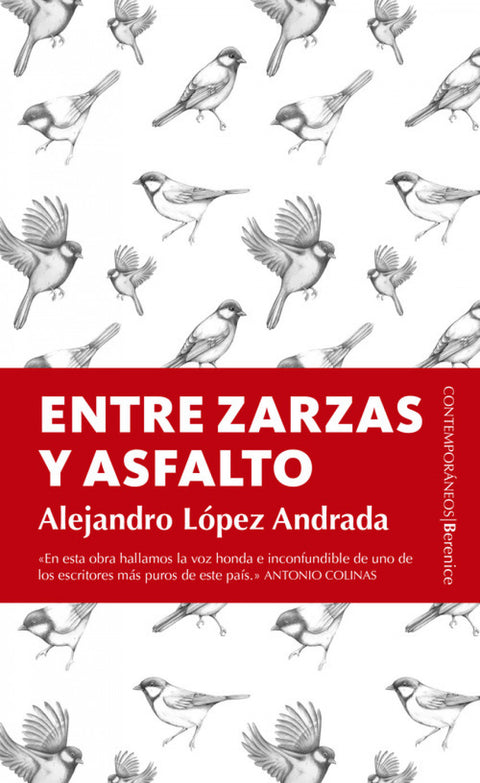  Entre zarzas y asfaltos 