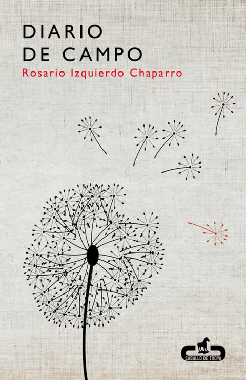  Diario de campo 