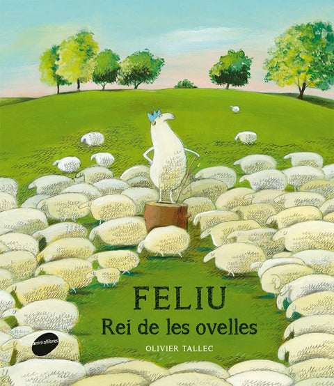  Feliu. El rei de lels ovelles 