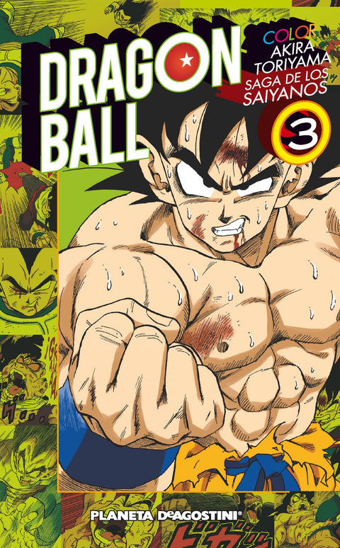  Dragon ball color 