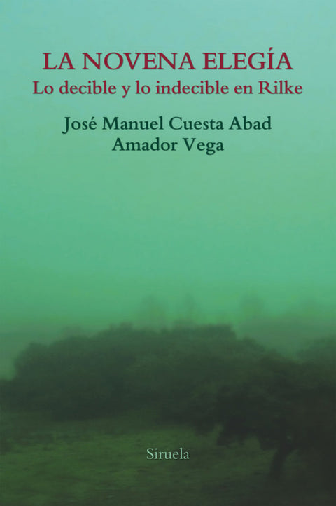  LA NOVENA ELEGÍA 