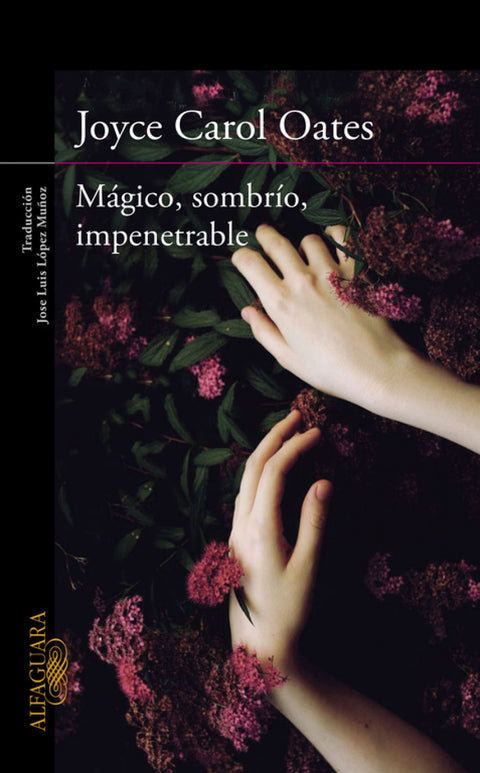 Mágico, sombrío, penetrable 