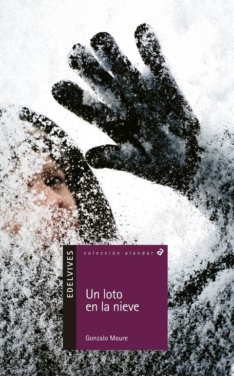  Un loto en la nieve 