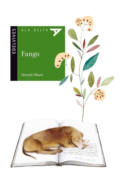  Fango 
