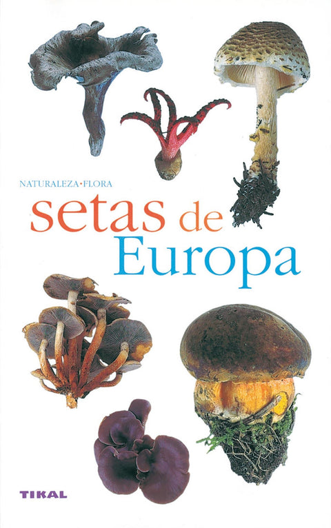  Setas de Europa 