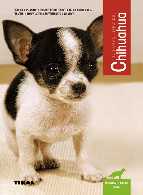  Chihuahua 
