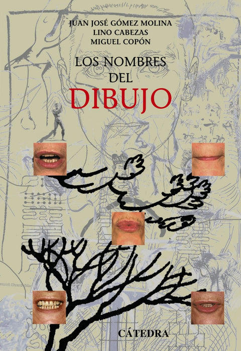  Los nombres del dibujo 