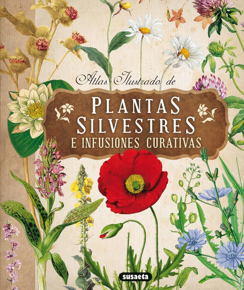  Plantas silvestres e infusiones curativas 