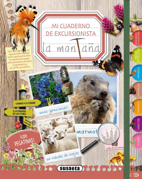  La montaña 