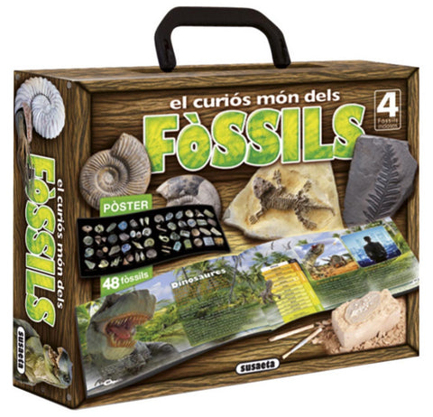  El curios mon dels fossils 
