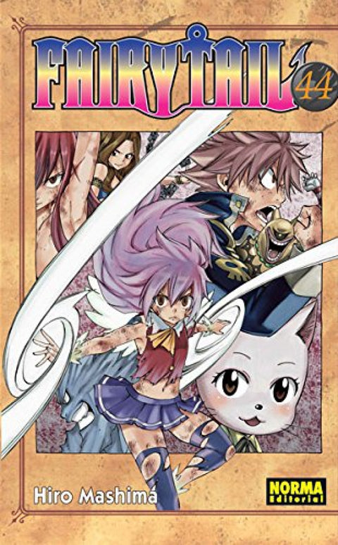  Fairy Tail 