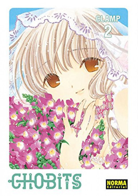 Chobits Integral, 2 