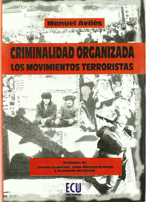  Criminalidad organizada: los movimientos terroristas 