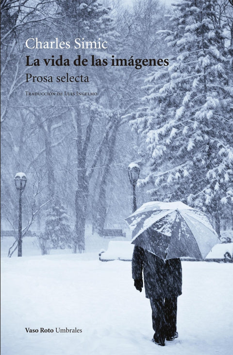  LA VIDA DE LAS IMÁGENES 