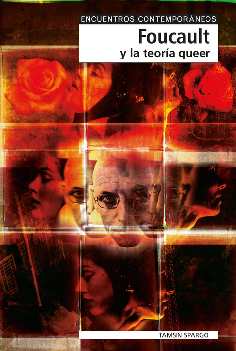  Foucault Y La Teoria Queer 