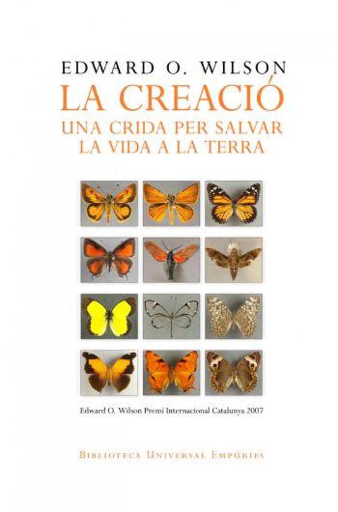  La creació 