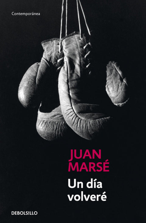  Un día volveré 