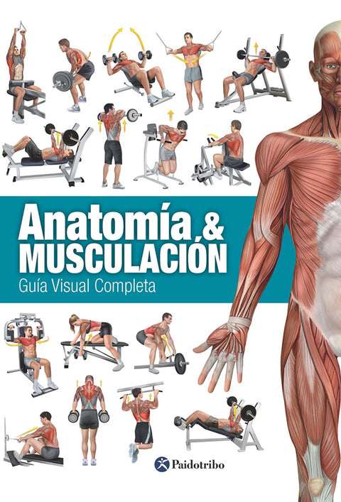  Anatomía &amp;musculación 
